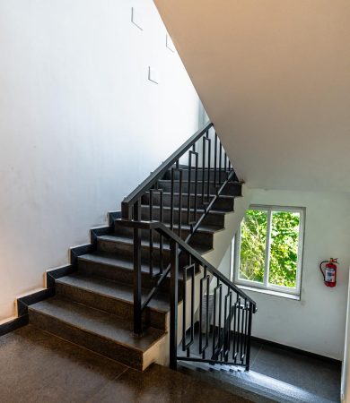 Gallery image 12